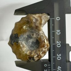 アラシャンゴビ瑪瑙 原石 花眼瑪瑙 目玉焼き 珍 置物 ルース ゴビ瑪瑙 