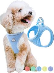 Item thumbnail for item d6690c22-2538-4e1e-80ba-e0a13224e2ee