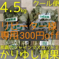 【リピーター様300円off】沖縄県産　〈農薬不使用〉最強野菜　クレソン　約4.5kg  【クール便】㉛-㊵