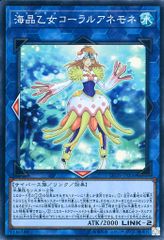 海晶乙女コーラルアネモネ【LVDS-JPB06 SR】 傷有り 遊戯王OCG