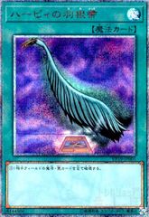 初期】ハーピィの羽根帚 魔法カード - メルカリ