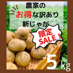 SALE！訳あり新じゃがいも☆鹿児島産の新鮮野菜☆５キロ