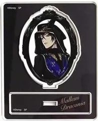 【中古】アクリルスタンド・アクリルパネル マレウス・ドラコニア 「ディズニー ツイステッドワンダーランド ブラインドアクリルスタンドコレクションVol.2 式典服」