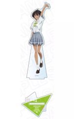 [중고] 아크릴 스탠드 아크릴 패널 소염 몫 데카 아크릴 스탠드 [패 히로인이 너무 많다!]