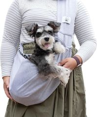 Item thumbnail for item cb1e4325-96d4-4711-8f6e-46018cba72d2