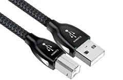 2025年最新】usb carbon audioquestの人気アイテム - メルカリ