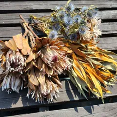ドライフラワー☆大きめネイティブバンクシアリースプルモーサムグラス