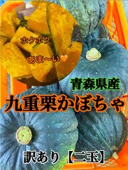 青森県産九重栗かぼちゃ🧡訳あり🧡農家直送のサムネイル