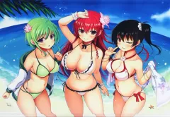 【中古】同人ポスター・タペストリー・カレンダー系 【フラワーナイトガール】B2タペストリー サボテン＆カトレア＆マンリョウ(宇路月あきら) C94/Plume Works