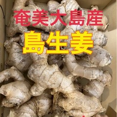 ロコ様専用です♡奄美大島産　無農薬栽培　島生姜