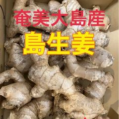 奄美大島産 無農薬 ポンカン - メルカリ