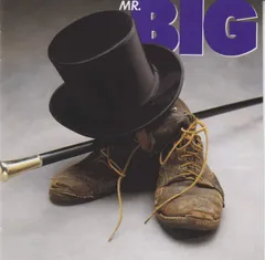 Mr.BIGドリルレコードピクチャー ディスク 2025年最新】Yahoo!オークション -mr.big(レコード)の中古品・新品・未