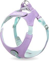 Item thumbnail for item 8c81f160-a243-4f4c-badd-273e0b4ed069