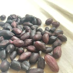 全商品匿名配送　黒落花生　10粒　ブラックピーナッツ　無農薬　種子