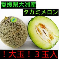 【愛媛県大洲産】タカミメロン　大玉　3玉入（送料無料）