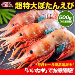 【数量限定】希少な超特大サイズを厳選✨️ 子持ち ぼたんえび500g🦐（約7尾前後/3Lサイズ） ギフト エビ ボタンエビ 牡丹えび 海老 冬ギフト 【甲羅組】