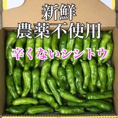 岡山県産 農薬不使用 柔らかくて辛くないししとう 300g野菜セット