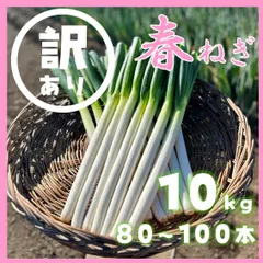 2025年最新】長ネギ 10kgの人気アイテム - メルカリ 