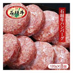 「沖縄県石垣島より直送」石垣牛ハンバーグ（120g×8個）