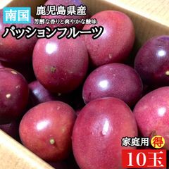 鹿児島直送◎南国 パッションフルーツ 10個