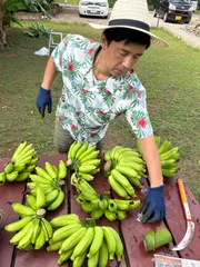 2025年最新】島バナナの人気アイテム - メルカリ