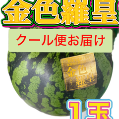北海道沖縄離島もOK!九州産🟡金色羅皇🟡１玉　クリームスイカよりも濃い黄色　クール便利用