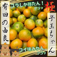 ゆら早生　有田みかん　2.5キロ
