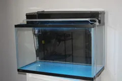 カミハタ 海道達磨 水槽60cm LEDライトセット 81vVidUbh5L._UF894,1000_QL80_.jpg