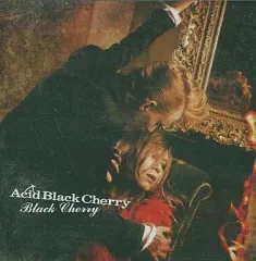 ABC 超初期！激レアタンクトップ　未使用　Acid Black Cherry D.HYGEN - Non-ply Yarn Lined Drop Crotch Cargo Wide Jogger
