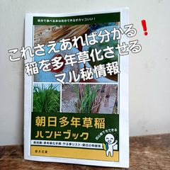 朝日多年草稲ハンドブックのみ