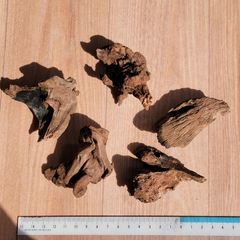天然流木 5点セット 塊状のサムネイル