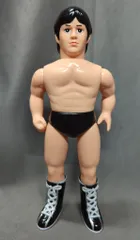 2025年最新】前田日明シリーズの人気アイテム - メルカリ