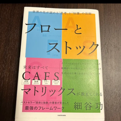 フローとストック　世界の先が読める「思考」と「知識」の法則 細谷功