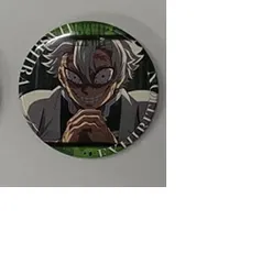 不死川 実弥 鬼滅の刃 柱展 そして無限城へ 柱百景 エモーショナル缶バッジ 不死川実弥 27 グッズ 缶バッチ