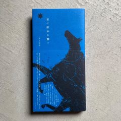 【新刊】 星に絵本を繋ぐ ｜ 井上 奈奈