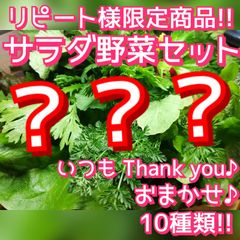 超特⭐リピ様限定!!旬野菜10種サラダ野菜ミックスセット⭐野菜詰め合わせ無農薬