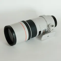 2024年最新】ef300mm f4lの人気アイテム - メルカリ