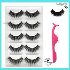 Item thumbnail for item 9a97d678-3d73-4bae-a9db-f9b94b505368