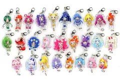 【中古】キーホルダー 全27種セット 「映画プリキュアオールスターズF 全78プリキュア つながるアクリルチャーム vol.3」 劇場グッズ