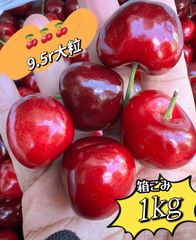 約1kg‼️クール便‼️9.5r超大粒‼️アメリカンチェリー‼️9.5row  サクランボ American Premium Cherries 美國車厘子 櫻桃 家庭用 お中元 さくらんぼ　ジューシーな果肉　国内検品発送　北海道沖縄の方は追加料金が必要です。