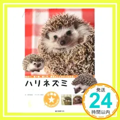 2025年最新】ハリネズミshopの人気アイテム - メルカリ