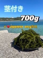 海ぶどう(茎付き) 奥武島産 ぷちぷち 2キロ kuki-2kg-top.jpg