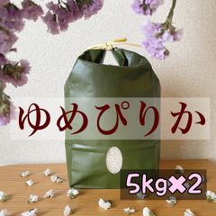 ゆめぴりか✳︎北海道産＊農家直送＊送料込み＊美味しいお米＊5キロ×2