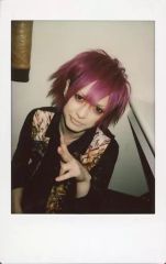 セール Royz 杙凪 チェキ くいな 貴重 レア 髪型 ツノ - メルカリ