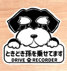 ときどき孫を乗せてます.ドライブレコーダー【シュナウザー.ボード】マグネットタイプ/シールタイプ/吸盤タイプ/