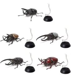 【中古】トレーディングフィギュア 全5種セット 「いきもの大図鑑 かぶとむし02」