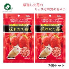 スドー フルーツ王国プレミアム 採れたて苺 46g 2個セット