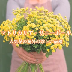 ミッフィJArmy様◆ドライフラワー♡ 花びら mix（ 427 ） ミッフィJArmy様◇ドライフラワー♡ 花びら mix（ 427 ）