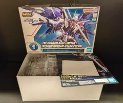 バラ売り不可ガンプラ6点セット MGSD、RG、HG