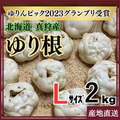 ゆり根　北海道　真狩産　ゆりんピック2023優勝　Lサイズ9個 x2箱